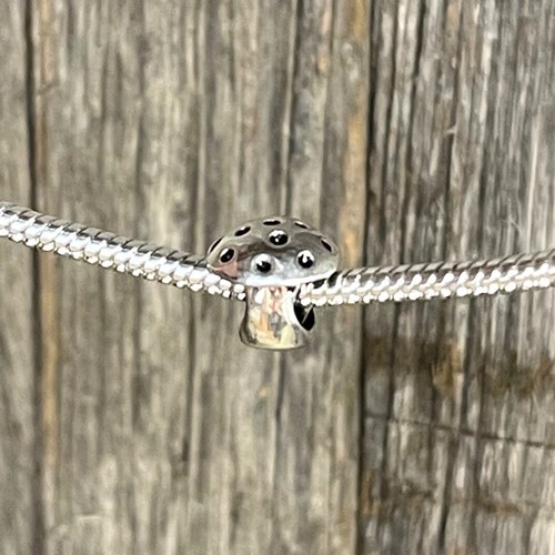 Bracciale donna argento charm
