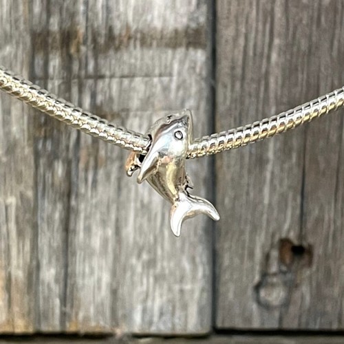 Charm europeo squalo mare